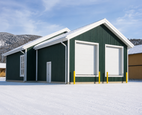 Biomass building structural steel